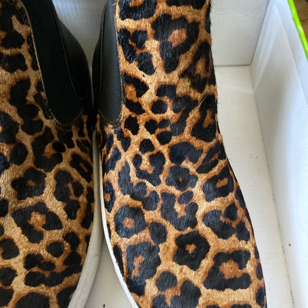 Sam Edelman Margot High Top Leopard Sneaker